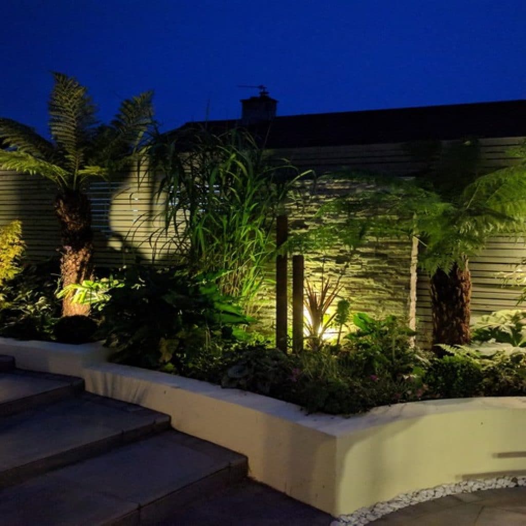 garden lighting scheme with exotic type plants lit from beneath