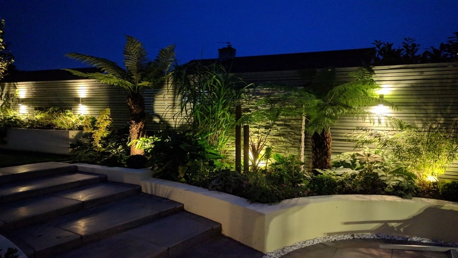 garden lighting scheme with exotic type plants lit from beneath