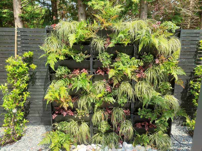 living wall for small garden with a varied selection of hardy textural plants