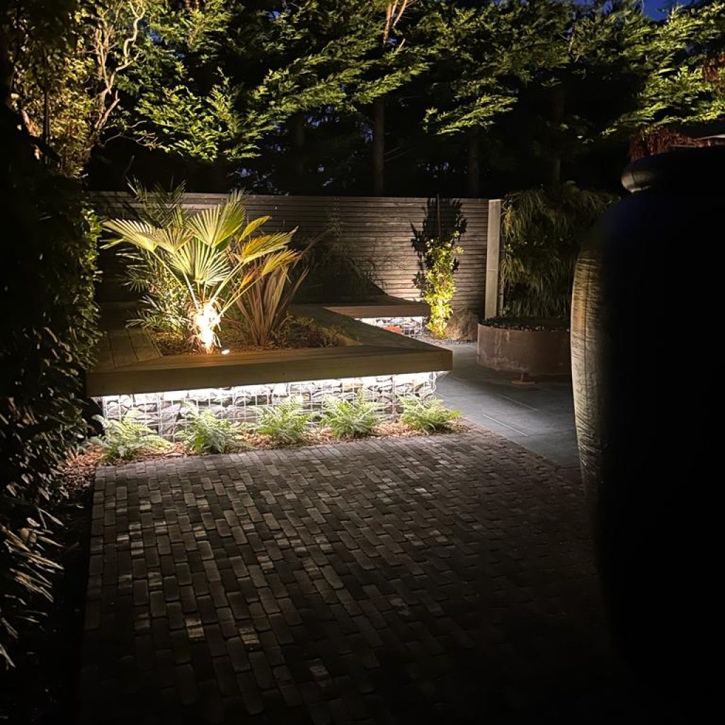 beautifully lit garden with exotic shaped plants