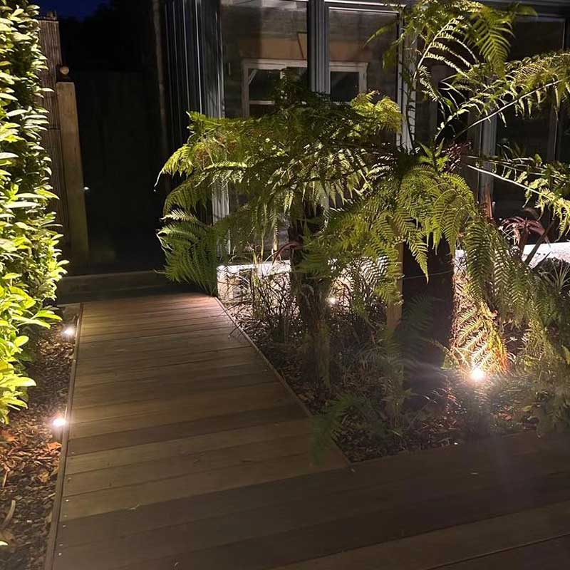 impressive lighting for a front garden with tropical planting scheme