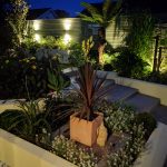 jungle themed planting scheme with lighting