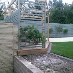 newly landscaped garden with fences cloaked in biodiverse planting