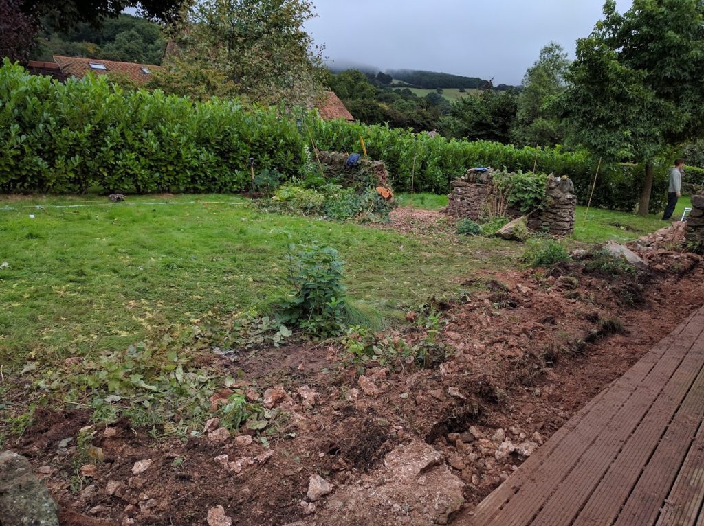 Partially neglected garden ripe for redesign