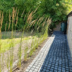 garden path with tall grasses to left and garden wall to right