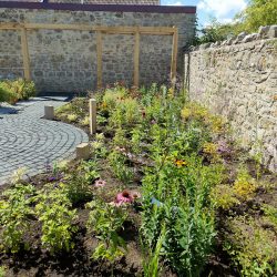 curved garden border generously planted with herbaceous plants