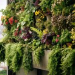 living walls on small balcony with colourful variety of plants