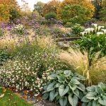 gorgeous garden planting